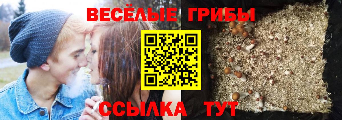 Лесосибирск  Галлюциногенные грибы Psilocybe  Галлюциногенные грибы мухоморы  Вход с VPN 