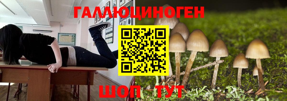 Галлюциногенные грибы мухоморы Лесосибирск